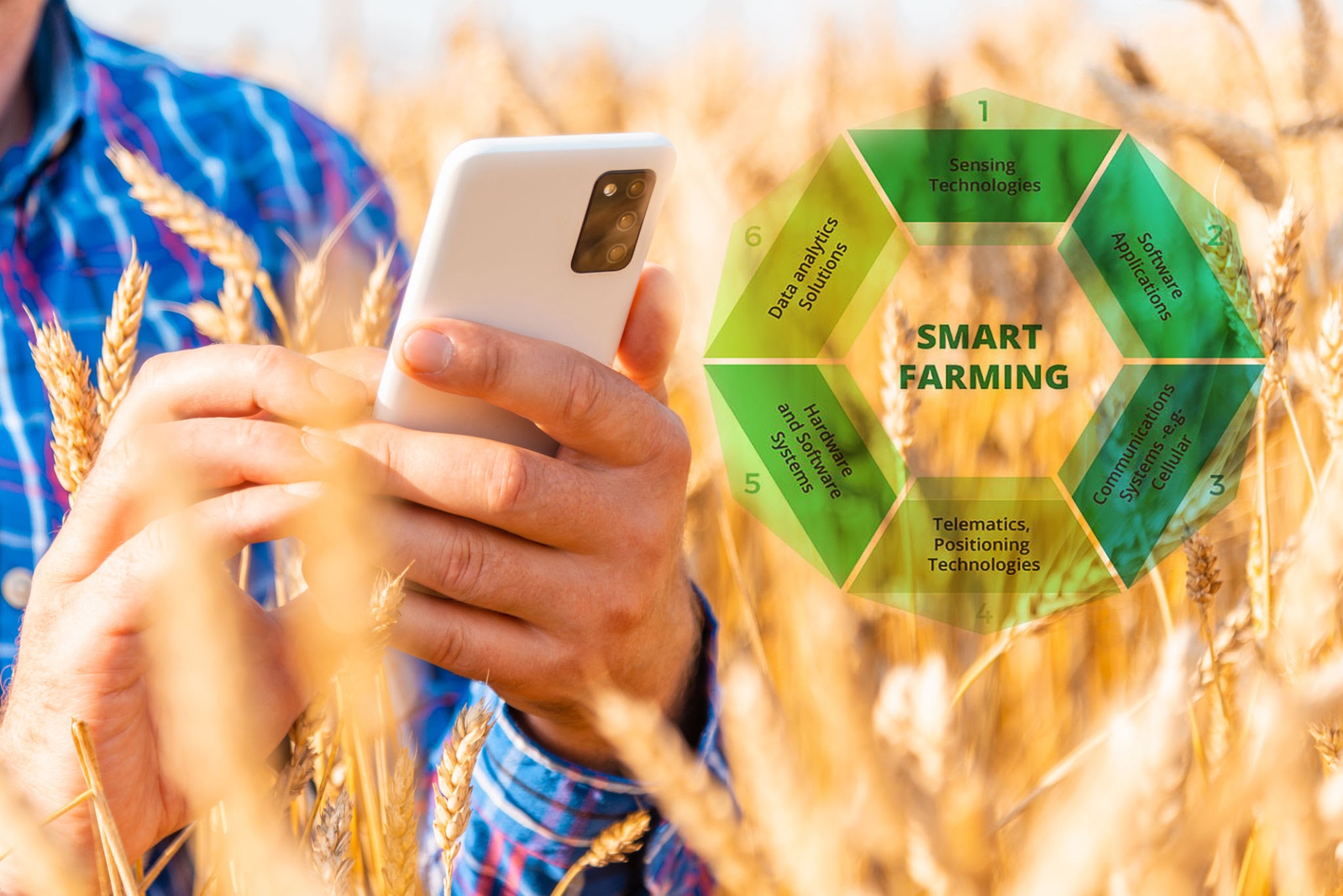 Technology + Tradition: Blending Innovation with Indigenous Farming Practices