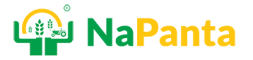 napanta-logo