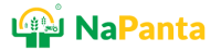 napanta-logo