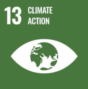 sdg13