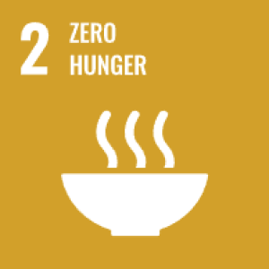 sdg2