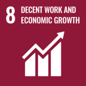 sdg8